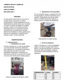 Cambios fisicos y quimicos