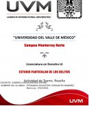 Reseña del video "delitos cometidos por servidores públicos INACIPE"