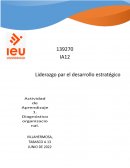 Liderazgo para el desarrollo etratégico