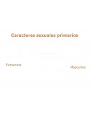 Carácteres Sexuales Primarios