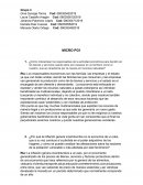 Preguntas relacionadas con la economía