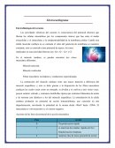 ENSAYO ELECTROCARDIOGRAMA