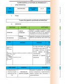Planificación de la actividad de aprendizaje N° 1. La paso bien jugando y practicando actividad física