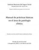 Manual de prácticas básicas en el área de patología clínica