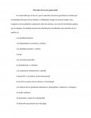 Derechos de tercera generacion