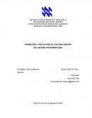 PROMOCIÓN Y PROTECCIÓN DE LOS DDHH DENTRO DEL SISTEMA INTERAMERICANO