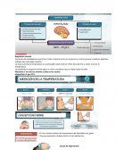 FISIOPATOLOGIA DE FIEBRE