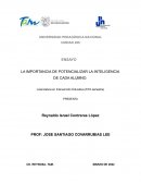 LA IMPORTANCIA DE POTENCIALIZAR LA INTELIGENCIA DE CADA ALUMNO