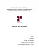 ANALISIS DEL PERFIL DEL INGENIERO