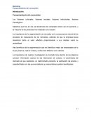 Marketing Comportamiento del consumidor