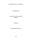 PSICOFISIOLOGIA DE LA AGRESIVIDAD