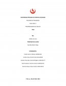 Amy, la chica detras del nombre