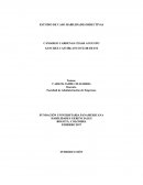 ESTUDIO DE CASO HABILIDADES DIRECTIVAS