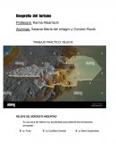 TRABAJO PRACTICO: RELIEVE