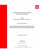 MECANISMOS DE DEFENSA INESPECÍFICOS Y ESPECÍFICOS DE LA MUCOSA RESPIRATORIA