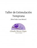 TALLER DE ESTIMULACION TEMPRANA SALA CUNA