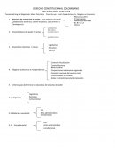 DERECHO CONSTITUCIONAL COLOMBIANO RESUMEN PARA ESTUDIAR