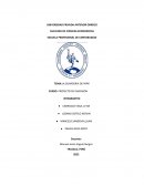 GUARDERIA DE PAPA. PROYECTO DE INVERSION