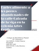 PROYECTO DE GESTIÓN SOCIAL