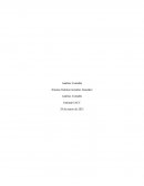 Análisis de cuentas. Análisis contable