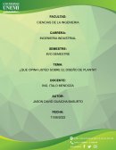 ¿Que opina usted sobre el diseño de planta?