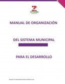 Ejemplo manual de organizacion Sistema DIF Zempoala, Hidalgo