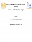Velocidad de reaccion entre Catalasa enzimatica de papa y peroxido de hidrogeno - Reporte de laboratorio