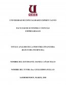 Analisis de la industria financiera (Banco del Pichincha)