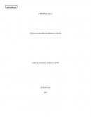 CASO ESTUDIO UNIDAD 1 - ESTRATEGIAS