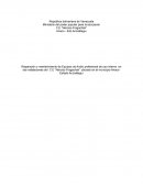 Reparación y mantenimiento de Equipos de Audio profesional de uso interno en las instalaciones del C.E “Narciso Fragachàn”