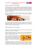 Rintisa IDENTIFICACIÓN DE OBJETIVOS DEL PROCESO EMPRESARIAL