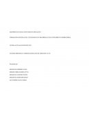 ANALISIS DE UN PEI E IDENTIFICACION DE PROBLEMATICAS