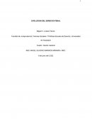 EVOLUCION DEL DERECHO PENAL