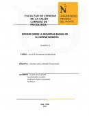 SEGURIDAD BASADA EN EL COMPORTAMIENTO