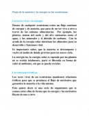 Flujo de la materia y la energía en los ecosistemas