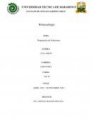 Preparación de Soluciones