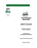 Análisis Del Programa De Intervención Temprana