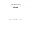 DIAGRAMA DE FLUJO DE LA INFORMACION