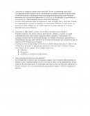 ¿Necesita un equipo de trabajo estar motivado? Como se mantienen motivados?