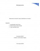 Distorsiones de mercado y tipos de elasticidad en el mercado