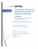 Caso práctico: Hormisa S. A