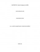 CASO PRÁCTICO – Gestión Estratégica de los RR.HH