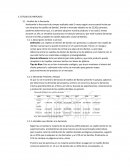 ESTUDIO DE MERCADO Los cepillos de dientes de bambú