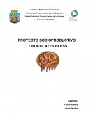 PROYECTO SOCIOPRODUCTIVO CHOCOLATES BLESS