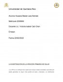 LA INVESTIGACIÓN EN LA ATENCIÓN PRIMARIA DE SALUD