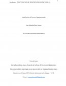 IDENTIFICACION DE PROCESOS ORGANIZACIONALES