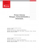 Promer informe. Risegos , Vulnerabilidades y Amenazas