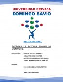 PROYECTO FINAL BODEGAS LA ACEQUIA SINGANI MI COMPADRE