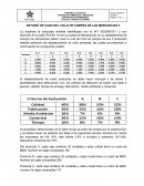 Estudio de caso del ciclo de compra de las mercancias