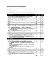 Matriz de Evaluación de Factores Internos (EFI). Página 1